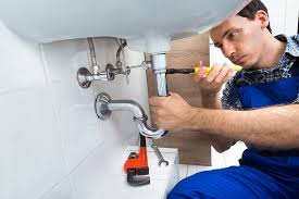 Best Pipe Inspections and Diagnostics  in Millport, AL